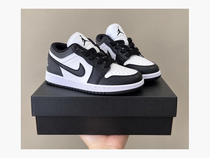 Jordan 1 Low #2