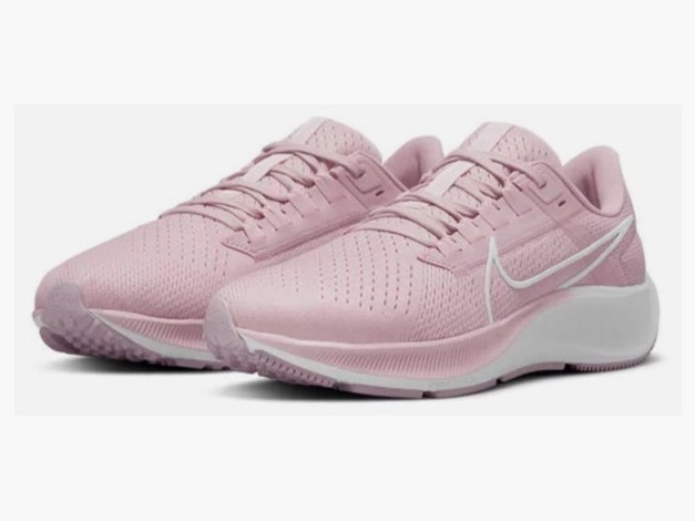 Pegasus 38 artic rose